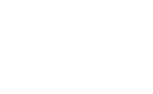 surge-logo-300x184 HOME-ONE-PAGE